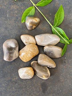 Crop Cirkel Stone, trumlad AA