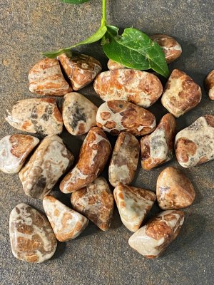 Granat Spessartin Trumlade AA