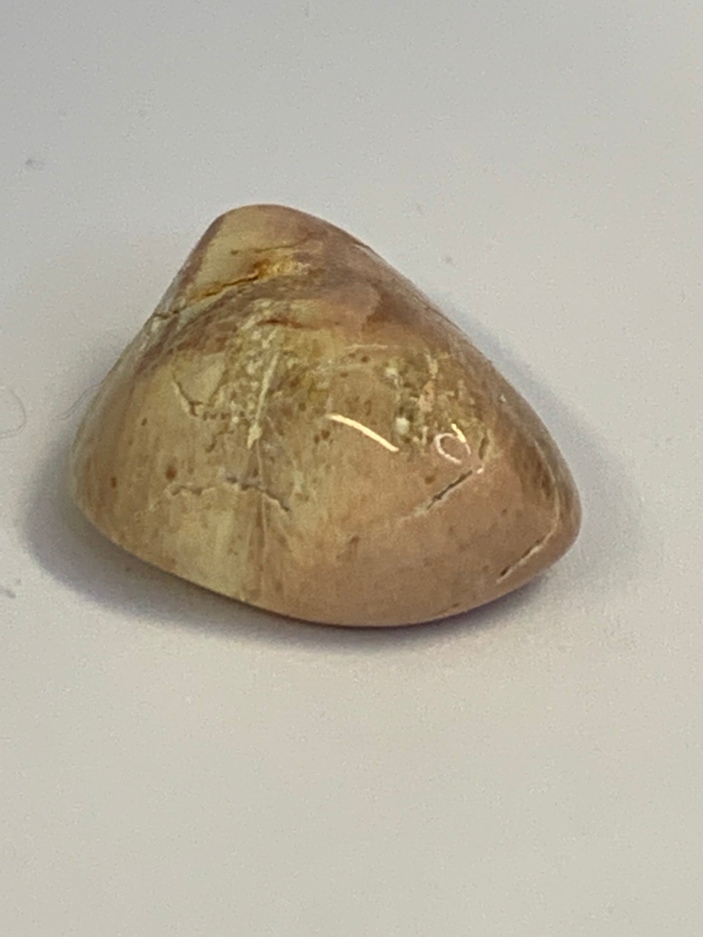 Thunder egg, trumlad AA (nr7)